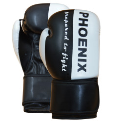 Boxhandschuh "Prepared to Fight" PU