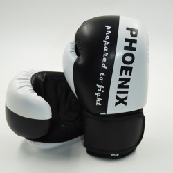 Boxhandschuh "Prepared to Fight" PU