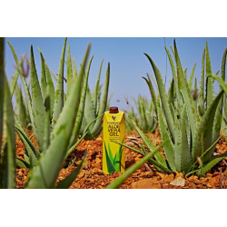 Forever Aloe Vera Gel™ Tripack 3 x 1 Liter